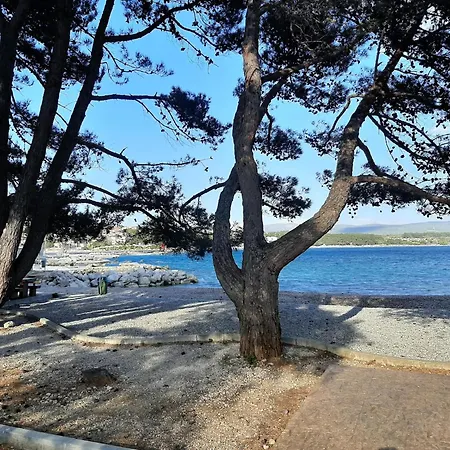 Guest house Family Cherry Krk Town