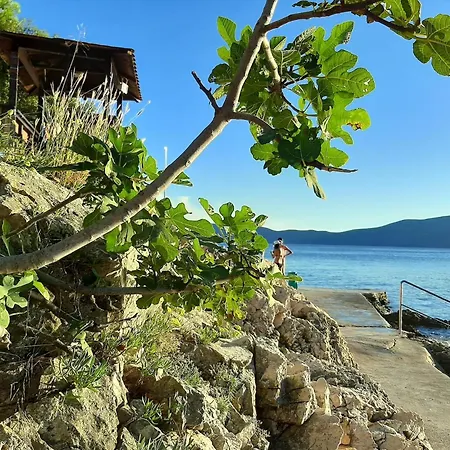 Guest house Family Cherry Krk Town